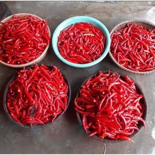 500GRAM ỚT BỘT ĐÂM BẰNG TAY SIÊU CAY - ĐẶC SẢN HUẾ