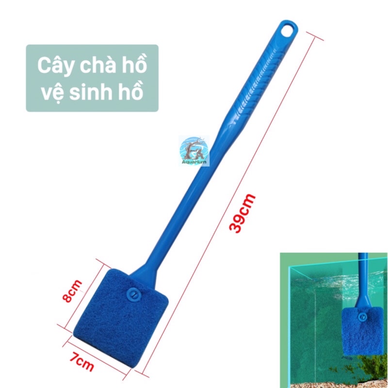 Cây chà hồ lau kính vệ sinh hồ cá, thuỷ sinh 39cm
