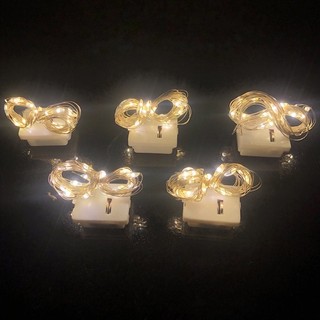 dây đèn led fairylight trang trí dài 2m gồm 20 đèn led làm bằng dây đồng