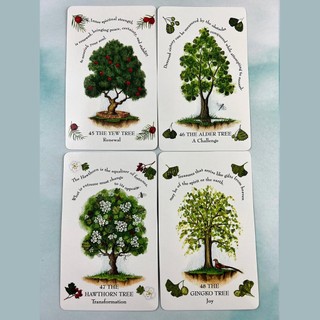 Bộ Bài Tree Magick Oracle (Mystic House Tarot Shop) - Bài Gốc Authentic Chính Hãng 100%