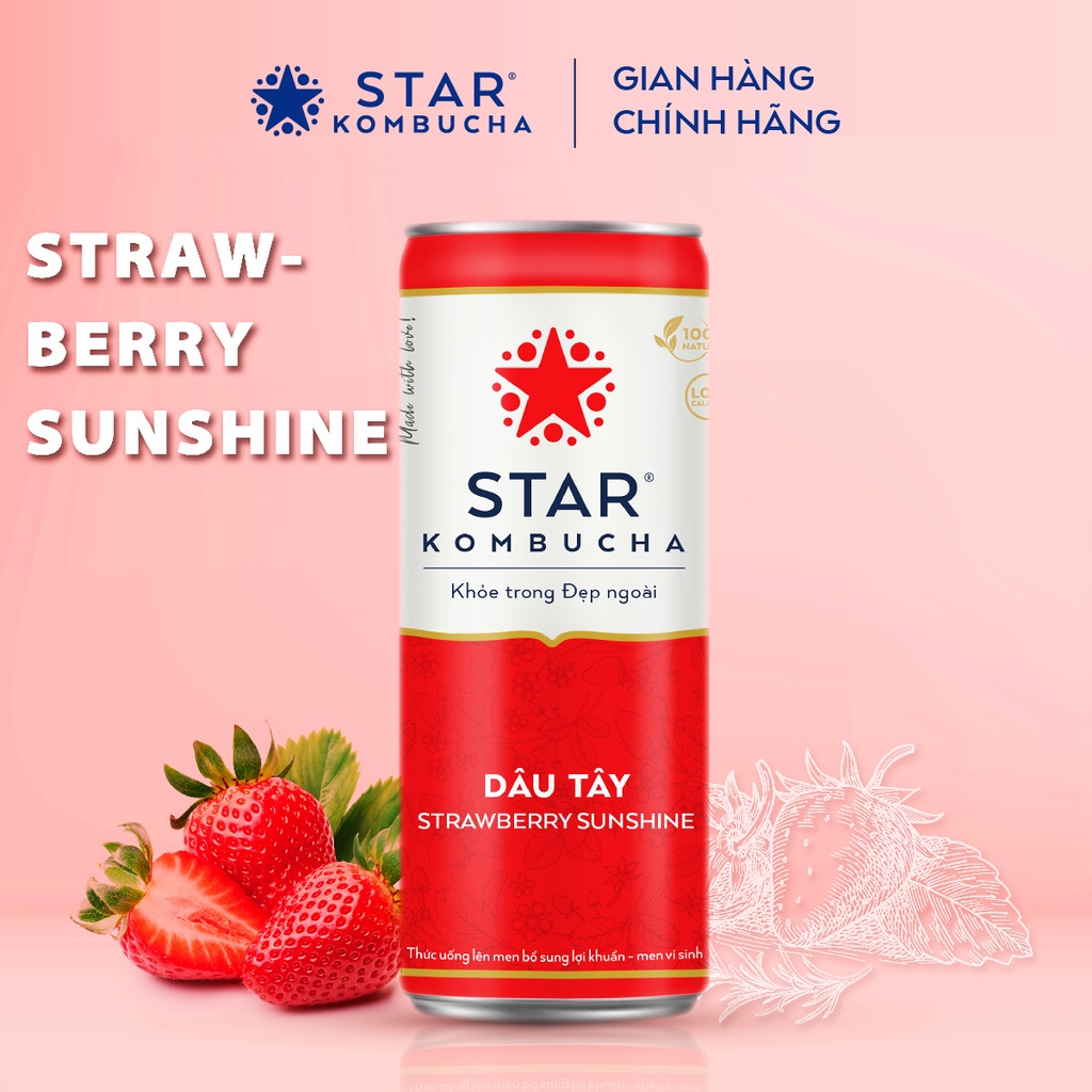 Ảnh Thùng 12 lon trà STAR KOMBUCHA Dâu Tây /Strawberry (250ml/lon)- Trà lên men vi sinh bảo vệ sức khỏe 2