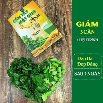 Hộp 15 gói Bột cần tây collagen nguyên chất sấy lạnh, cần tây giảm cân cấp tốc hiệu ủa-CMO