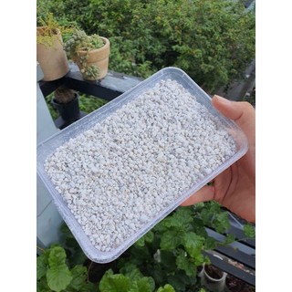 ĐÁ RÃI MẶT/TRỘN GIÁ THỂ DÀNH CHO SEN ĐÁ VÀ XƯƠNG RỒNG (TÚI 500GR), MASATO (1KG)
