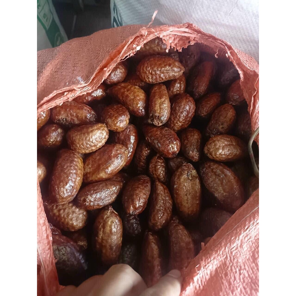 Chuối hột rừng sấy khô ngâm rượu, quả tròn đẹp (khô, sạch, thơm) [1kg]. Đồ ngâm rượu chuối hạt rừng, đặc sản Tây Bắc