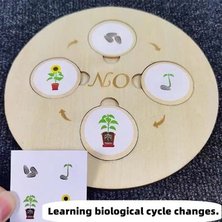 Đồ Chơi Giáo Dục Phát Triển Trí Tuệ Cho Bé Hình Động Vật Và Cây Cối