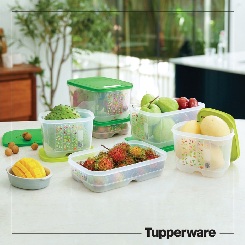 BỘ HỘP TRỮ MÁT CÓ NÚT HÔ HẤP VENTSMART 6 HỘP (nhãn APAC) – TUPPERWARE ...