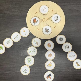 Đồ Chơi Giáo Dục Phát Triển Trí Tuệ Cho Bé Hình Động Vật Và Cây Cối