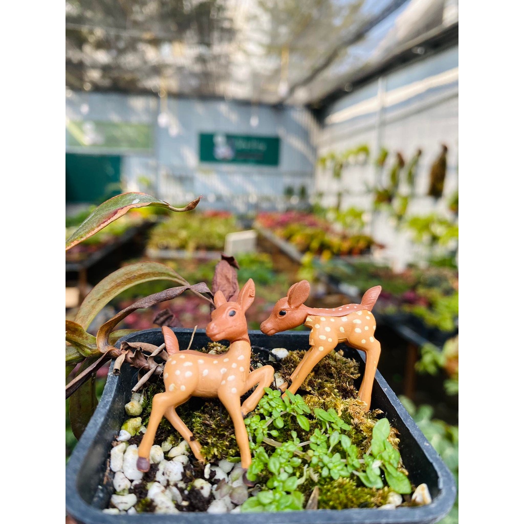 Phụ Kiện Tiểu Cảnh Ngựa và Hươu Trang Trí Terrarium, sen đá, xương rồng, cây cảnh, làm mô hình, đồ handmade