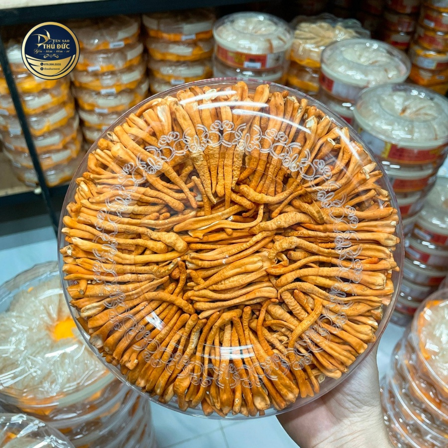 Nấm Đông Trùng Hạ Thảo Sấy Thăng Hoa Cao Cấp - 100% Nguyên Chất Không Chất Bảo Quản (Hộp Tiết Kiệm 50g 100g)