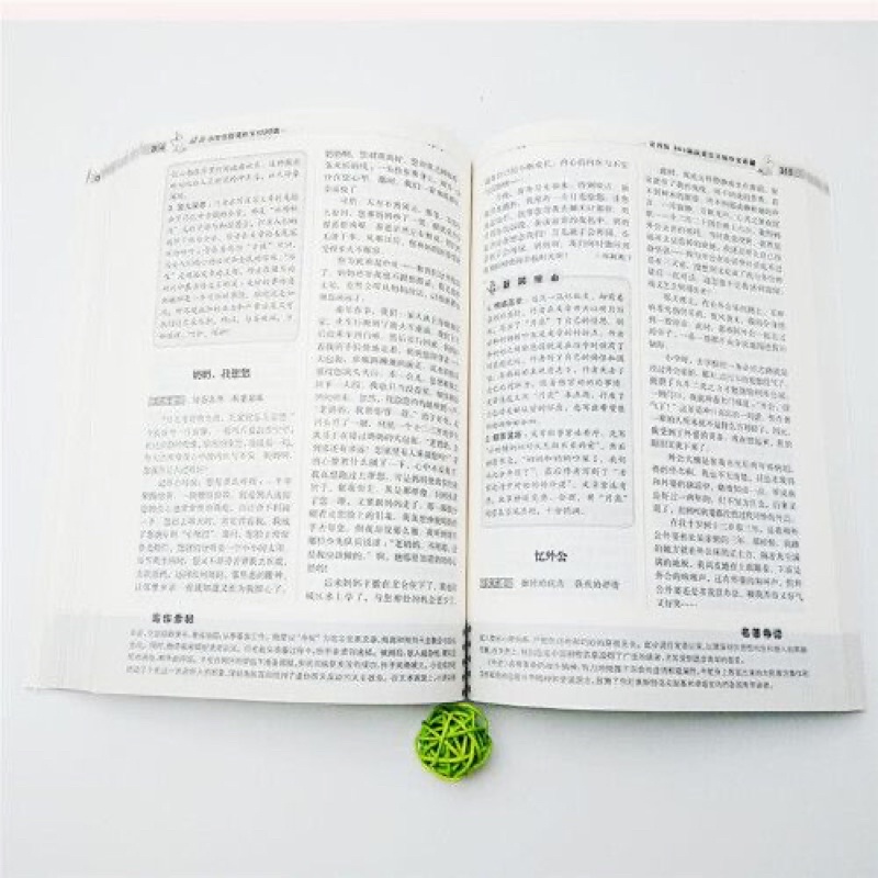 Ảnh 1000 bài văn phân loại chọn lọc giành cho học sinh tiểu học 1