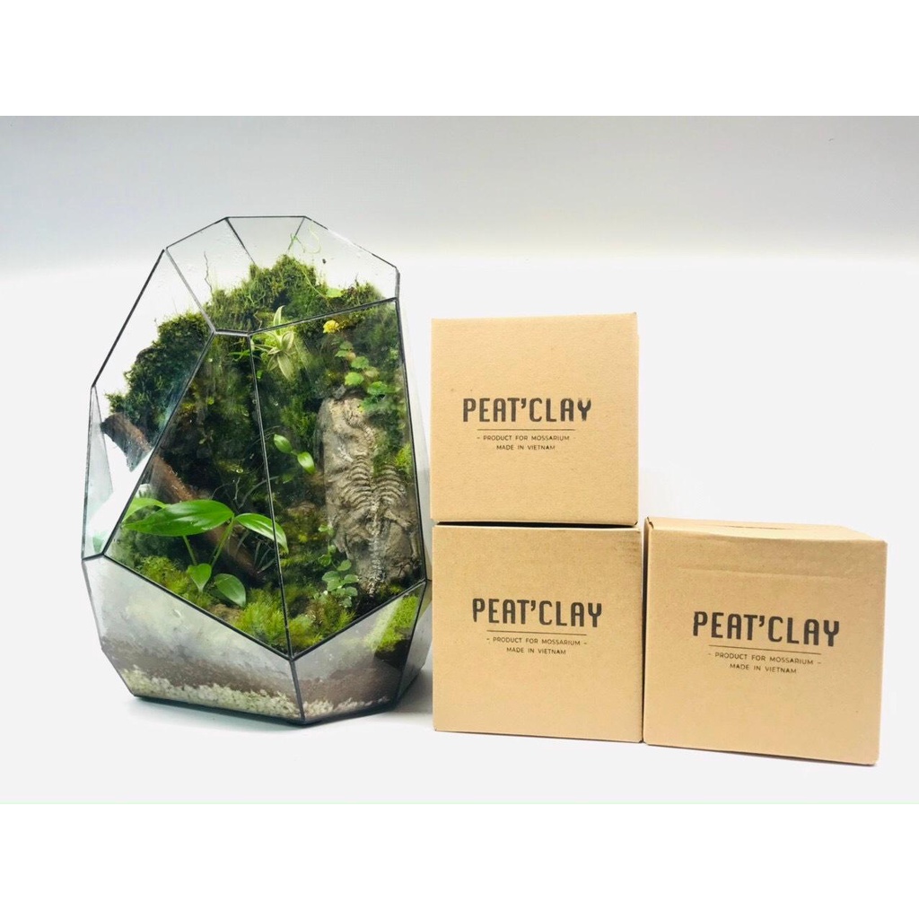 ĐẤT KẾT DÍNH, đất làm tường rêu dùng dán rêu trong bể terrarium, bán ...