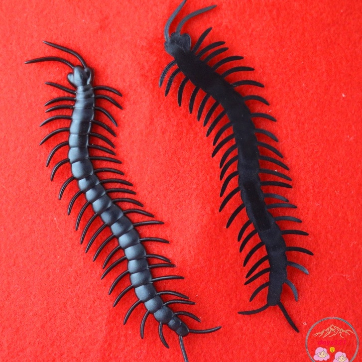 [ĐEN 14CM] CON RẾT GIẢ côn trùng giả dùng để trang trí hoặc chơi khăm ...