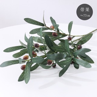 Cành oliu có quả nhiều nhánh lá bạc giả nhập khẩu thân cao cành cao 80cm từ lụa và nhựa cao cấp
