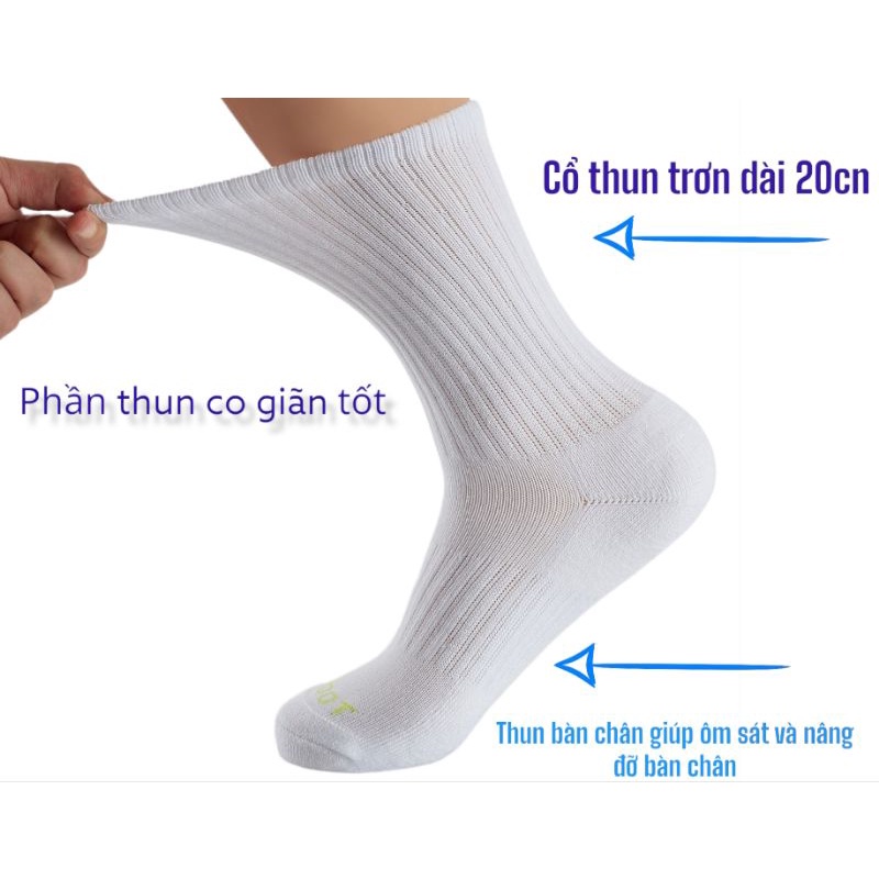 Tất trơn cao cổ nam nữ mềm mịn 3B êm ái, thoáng khí