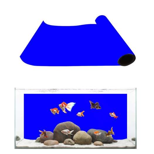 DECAL TRẮNG, ĐEN, XANH DÁN BỂ CÁ CẢNH KHỔ CAO 60CM