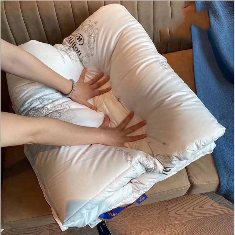 Ruột chăn lông vũ hilton siêu nhẹ cao cấp chính hãng TOPAZ nhập khẩu mang cho bạn giấc ngủ ấm áp trong thời tiết đại hàn