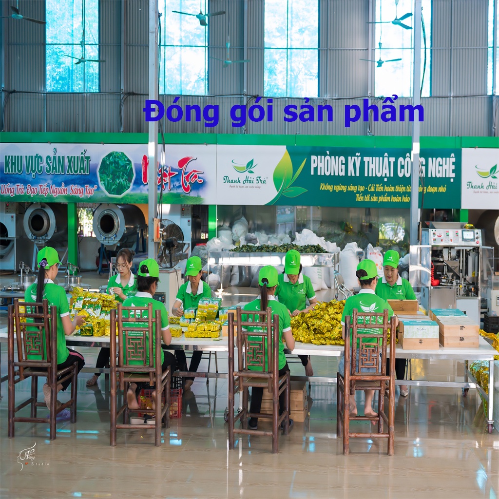 Trà Cành Trà Đá Chè Tân Cương Pha Trà Trà Thái Nguyên Tiêu Chuẩn VietGap