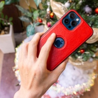 Ốp lưng da Iphone Buff HAVIAS