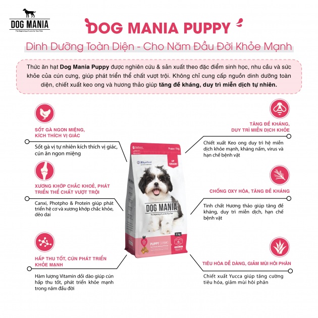 [2.4KG] DOG MANIA - Thức ăn hạt Cho Chó Nhỏ/ Chó Trưởng Thành DogMania