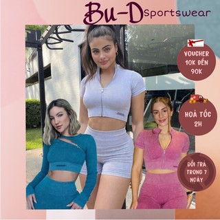 Đồ tập gym nữ botee ACCE [croptop,tay dài] (Tách lẻ bán)(2 mẫu áo)