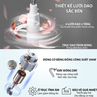 Máy xay thịt chính hãng Bear, Sande cối thủy tinh , 300W, 2 tầng lưỡi xay khỏe, nhuyễn đa năng