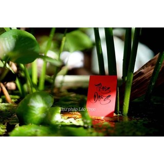 100 thẻ 7 nội dung treo cây mai, đào, bỏ bao lì xì trang trí Tết
