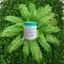 Hũ 300gr bột phèn chua chưng cất nguyên chất (Phèn phi)