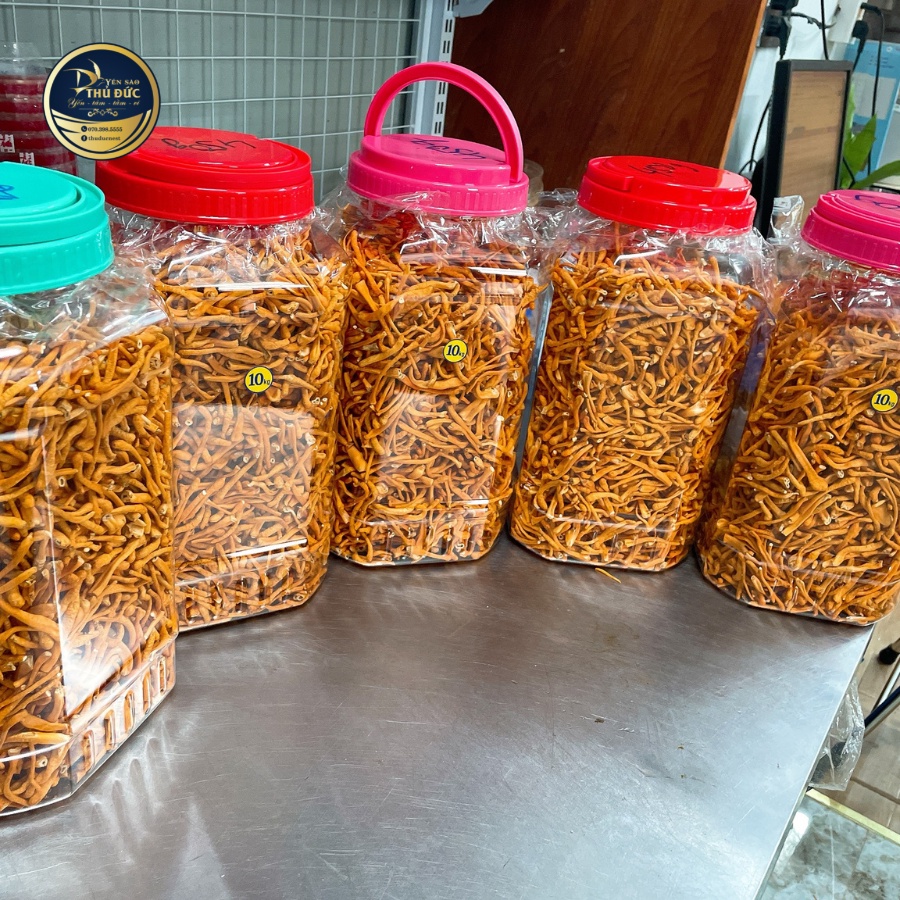 Đông Trùng Hạ Thảo Loại 1 Sấy Thăng Hoa loại 10 gram - Yến Sào Thủ Đức
