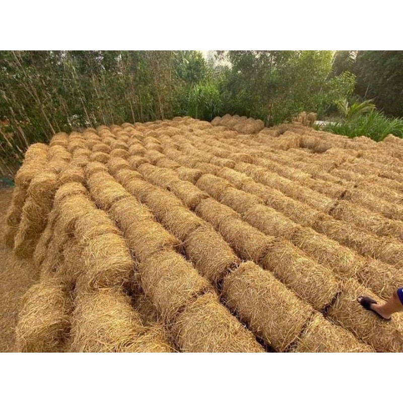 1kg Rơm khô Củ Chi - rơm rạ trồng cây , lót ổ gà , trang trí sân vườn ...