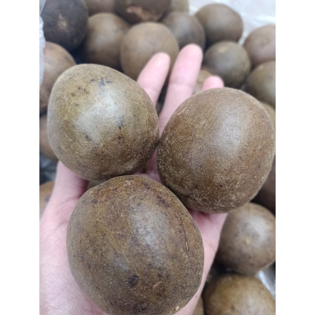 Quả La Hán Khô Nguyên Quả | Quả Chắc Đặc Ruột Thơm Ngọt Thanh Hàng Đẹp Không Vụn Vỡ 500gr