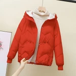 Áo khoác có đệm xuống nữ Phong cách Hồng Kông Áo khoác đệm rộng Phong cách mới Mùa đông Phiên bản Hàn Quốc Áo khoác đệm ngắn dày — ảnh 5