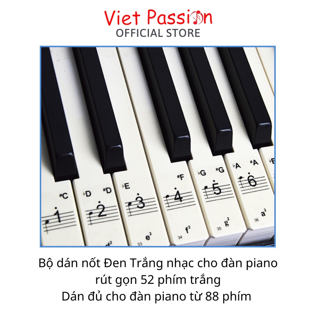 Sticker dán nốt bàn phím đàn piano organDecal đánh dấu vị trí note ...