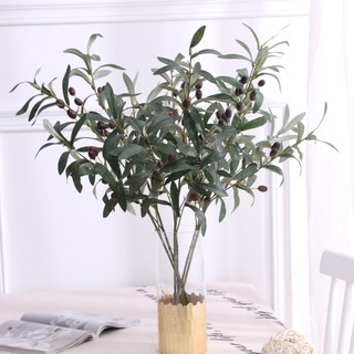 Cành oliu có quả nhiều nhánh lá bạc giả nhập khẩu thân cao cành cao 80cm từ lụa và nhựa cao cấp