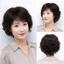 Bộ Tóc Giả Ngắn xoăn đuôi Nguyên Đầu Trung Niên Thẳng TN06 MS30 Qiqishop