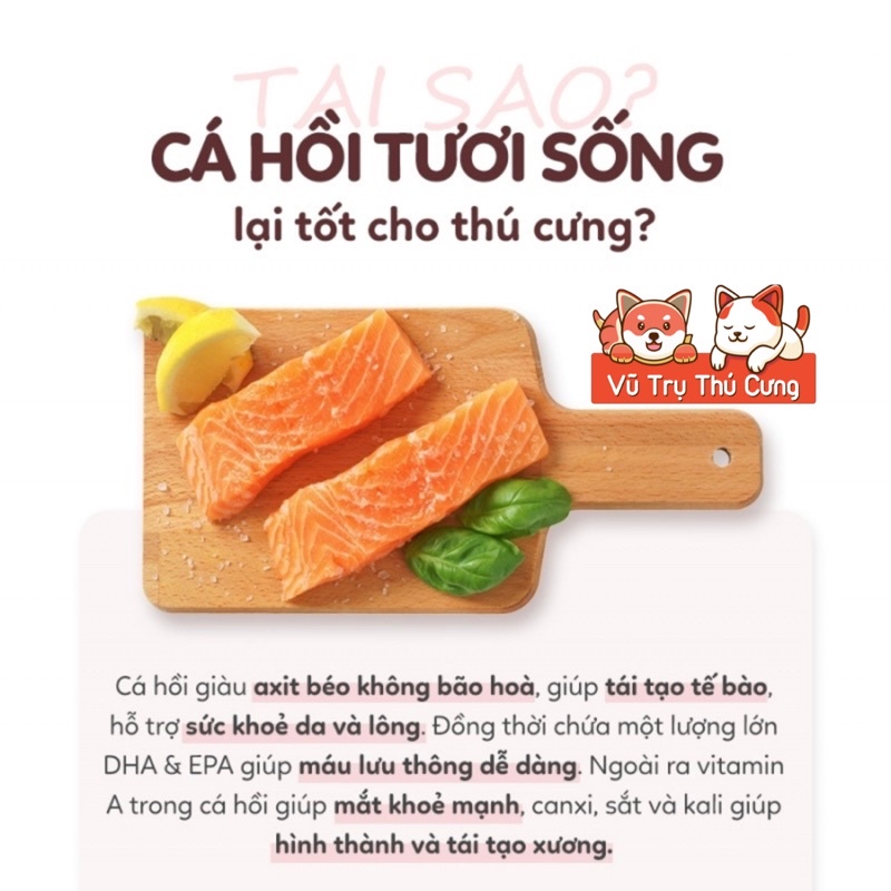 Thức Ăn Hạt Mềm Cho Chó ANF, Soft Balance Hàn Quốc