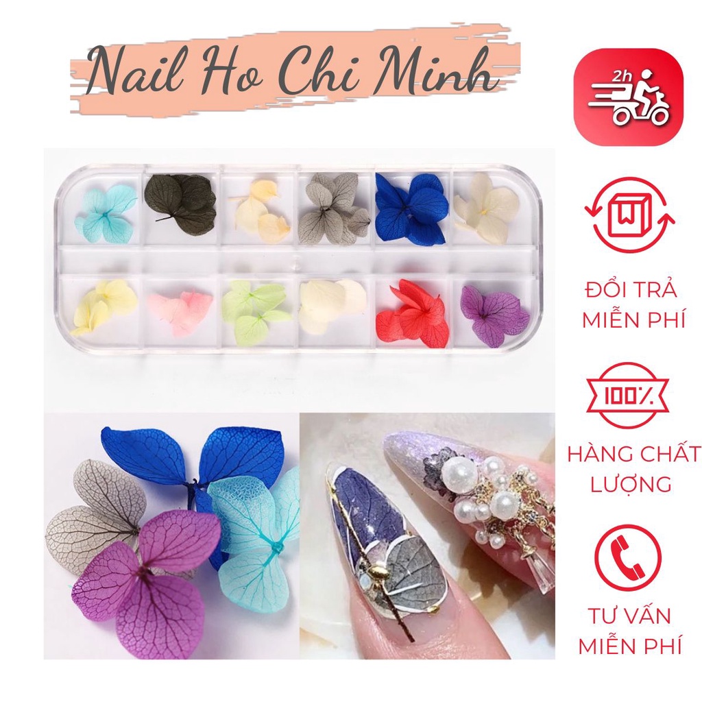 Hoa khô trang trí móng tay - Set 12 màu hoa khô nail, cánh hoa to và mỏng đắp ẩn theo phong cách Hàn Nhật