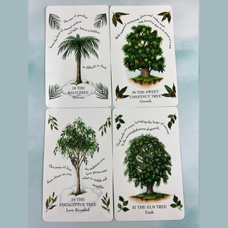 Bộ Bài Tree Magick Oracle (Mystic House Tarot Shop) - Bài Gốc Authentic Chính Hãng 100%