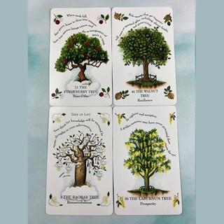 Bộ Bài Tree Magick Oracle (Mystic House Tarot Shop) - Bài Gốc Authentic Chính Hãng 100%