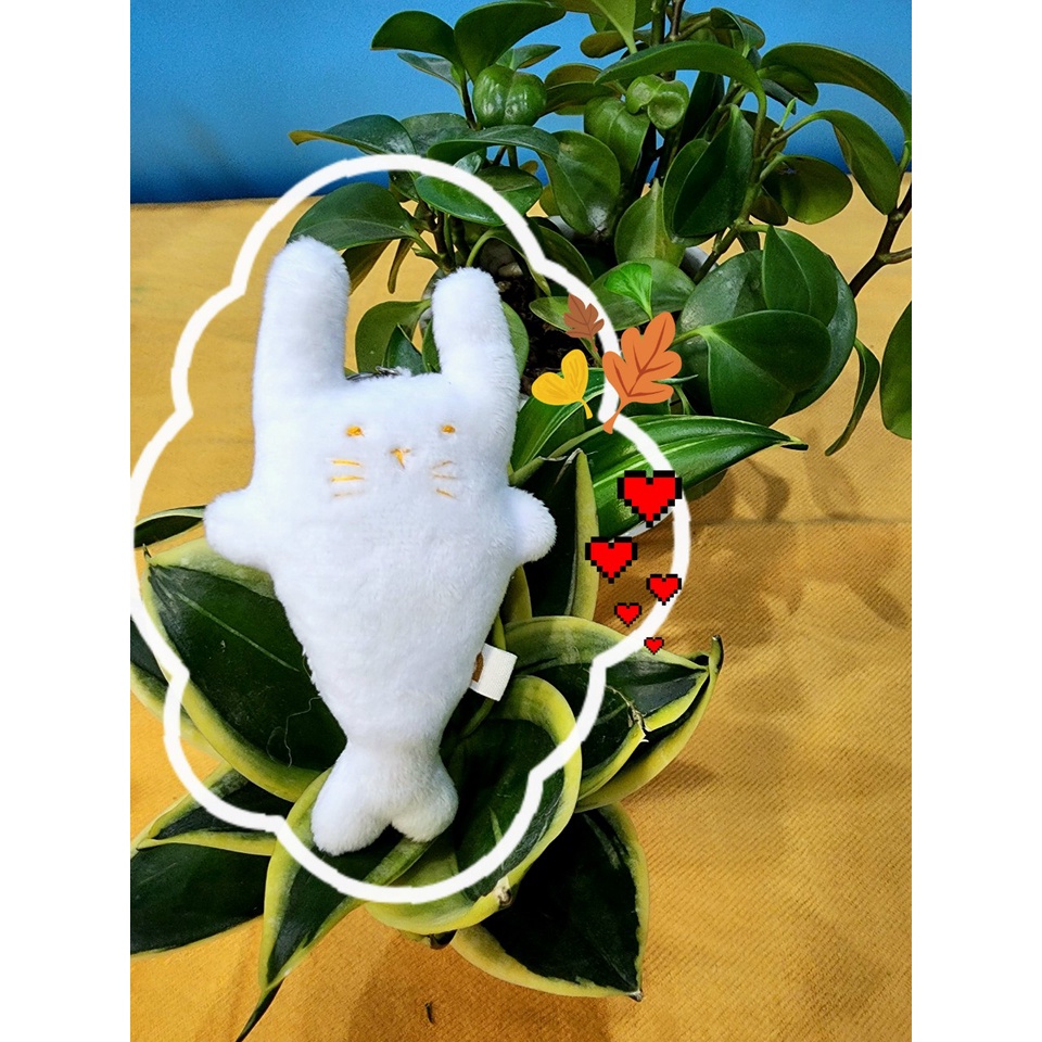 Gấu bông đình may Móc khóa Chí Mén dễ thương 12cm | Shopee Việt Nam
