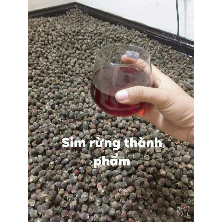 Quả sim chín khô – Ngọt thanh thơm – Đặc sản Tây Bắc – Nguyên liệu ngâm tửu