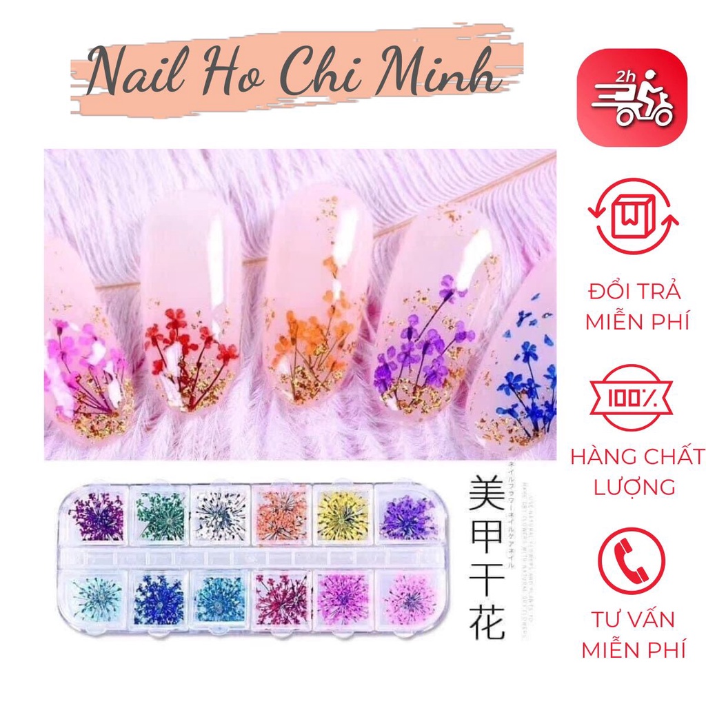 Hoa khô trang trí móng tay - Set 12 màu hoa chùm đắp gel ẩn phong cách Hàn Nhật
