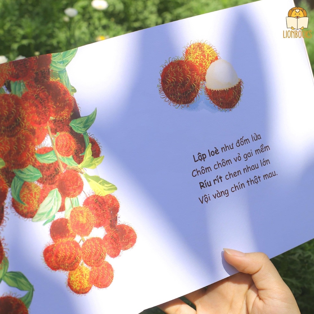 Ảnh Sách Ehon Củ Quả Cho Bé 0-3 Tuổi - Set Muôn Điều Kì Diệu 2 cuốn Củ Đang Nằm Ngủ và Lúc Lỉu Trên Cành 2