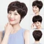 Bộ Tóc Giả Nguyên Đầu Ngắn Xoăn Nhẹ Trung Niên TN01 MS205 Qiqishop