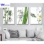 Tranh Treo Tường Cây Trúc , Tranh Tráng Gương ( Bộ 3 Tấm )