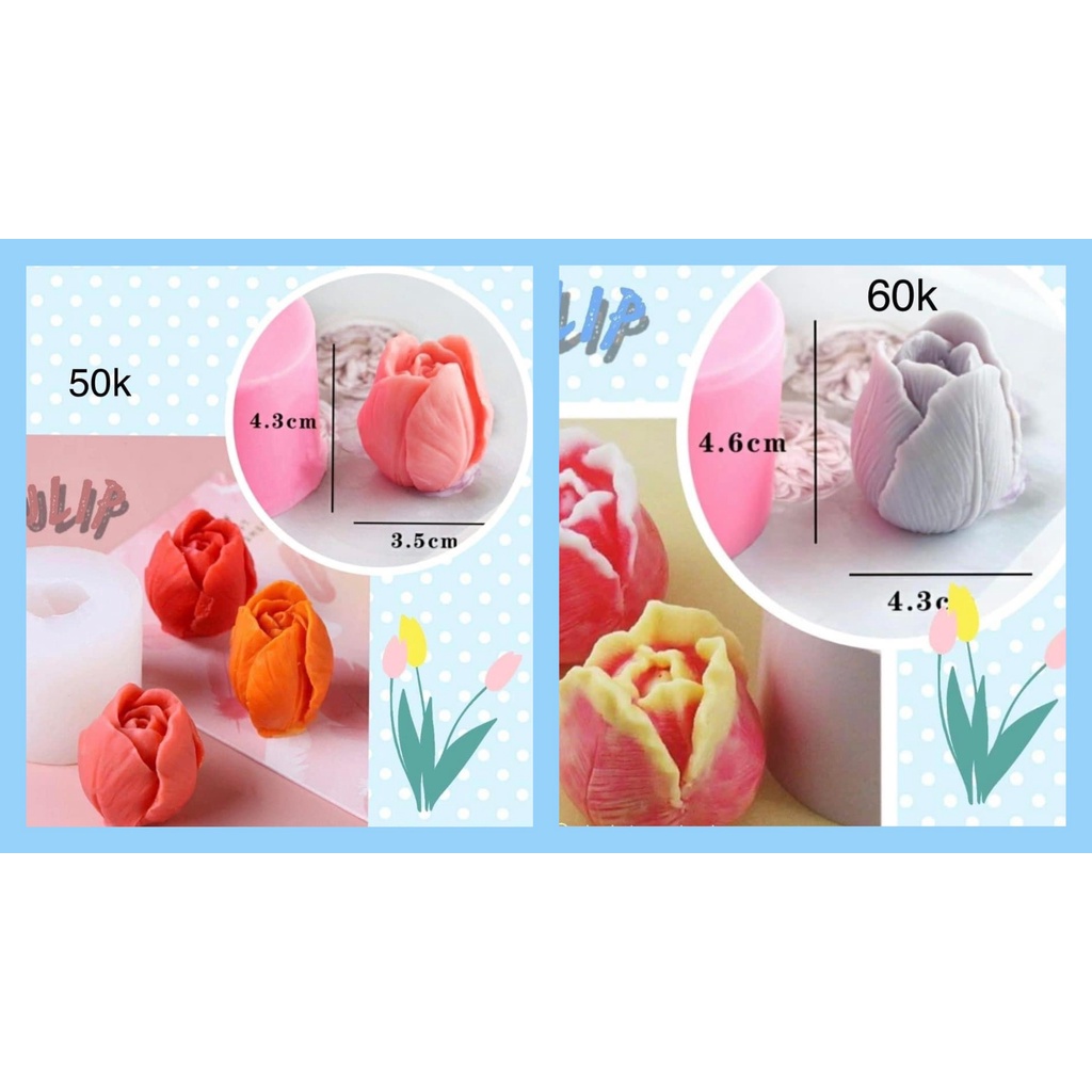 Khuôn hoa búp tulip