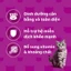 Pate mèo lớn WHISKAS - Gói 80g