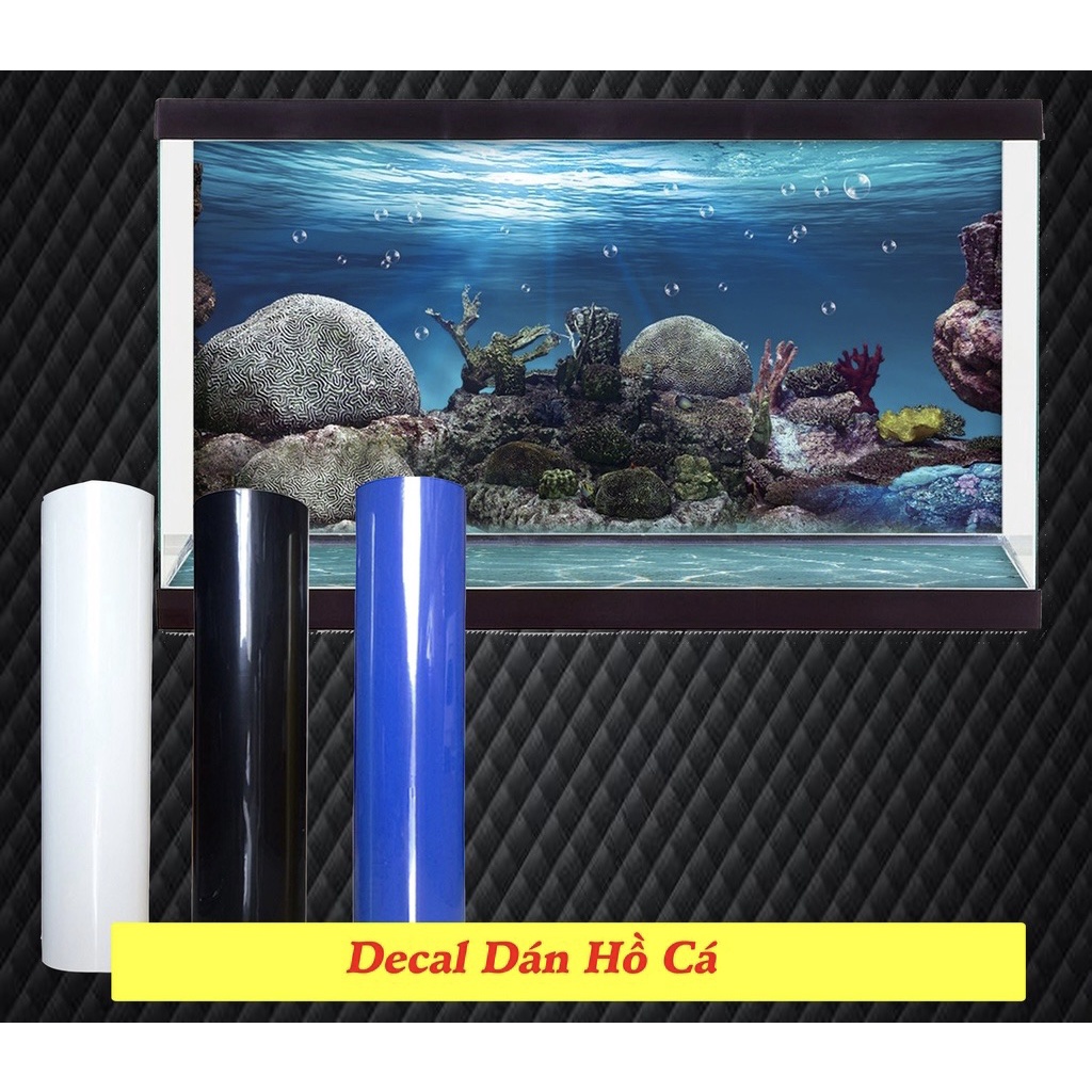 DECAL TRẮNG, ĐEN, XANH DÁN BỂ CÁ CẢNH KHỔ CAO 60CM