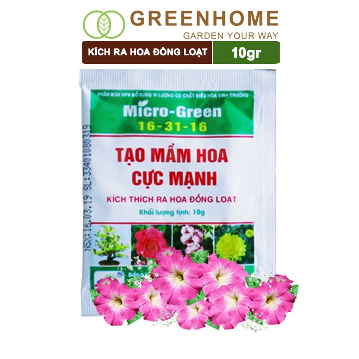 Phân kích ra hoa, Greenhome, micro green 16-31-16, gói 10gr, tạo mầm hoa cực mạnh, thúc đẩy ra hoa đồng loạt