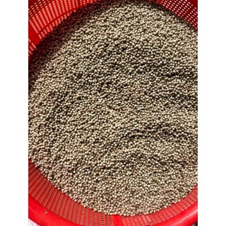 500gr Hạt Tiêu Sọ trắng Famiyumi CAY, THƠM, hạt chắc, đều