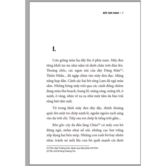Ảnh Sách – Búp Sen Xanh (Sơn Tùng) 2